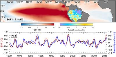 Amazon Plume Salinity Response to Ocean Teleconnections